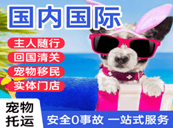 巴彦淖尔机场空运国际宠物托运 【国